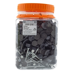 BP668 - Roof Nail & Cap